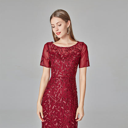 Elegant Floor-Length Lace - Embroidery Dress